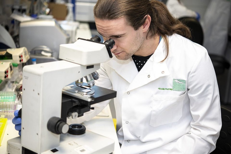 A man in the lab with a microscope