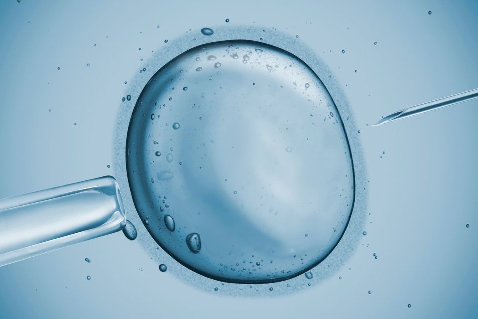 Illustration of an oocyte and fertility treatment syringe