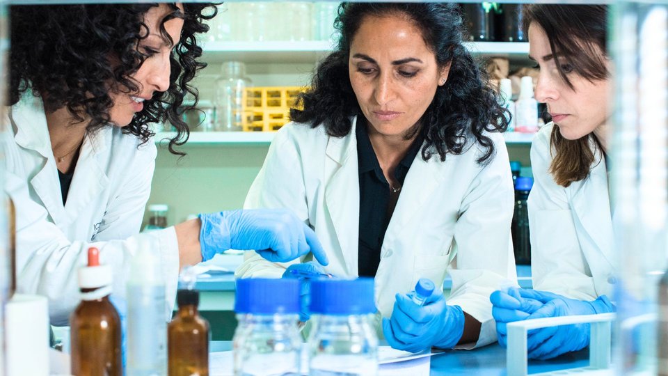 Three women researchers working together and talking in a laboratory setting