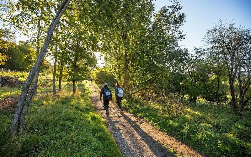 Chiltern 50 Ultra Challenge-image