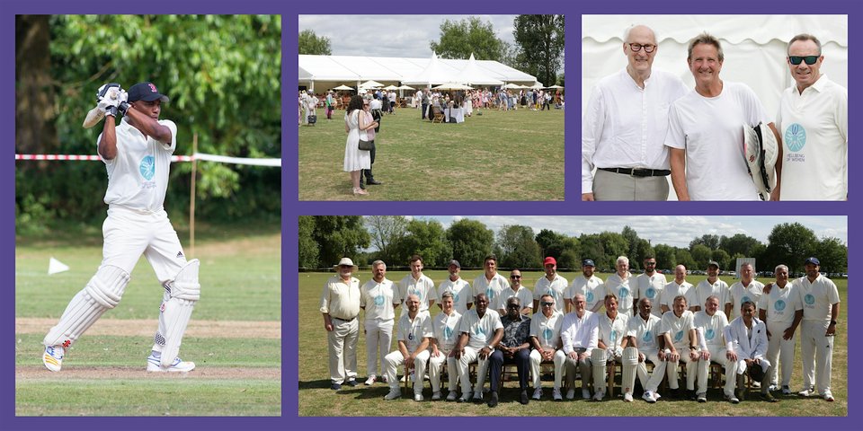 38th Celebrity Cricket Day-image